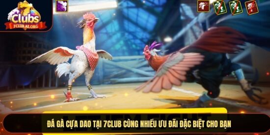 Đá Gà Cựa Dao